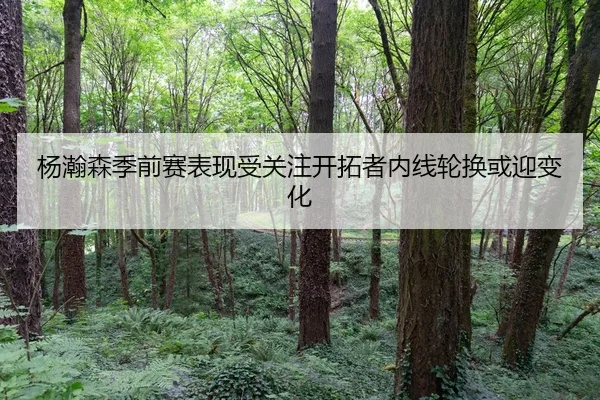杨瀚森季前赛表现受关注开拓者内线轮换或迎变化